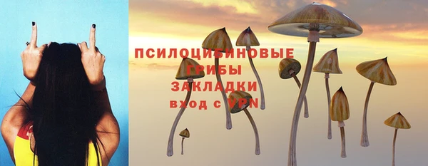2c-b Абаза